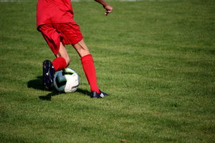 华体会体育网址-意甲裁判语义分析系统在比赛判罚中的应用研究，意甲裁判名单